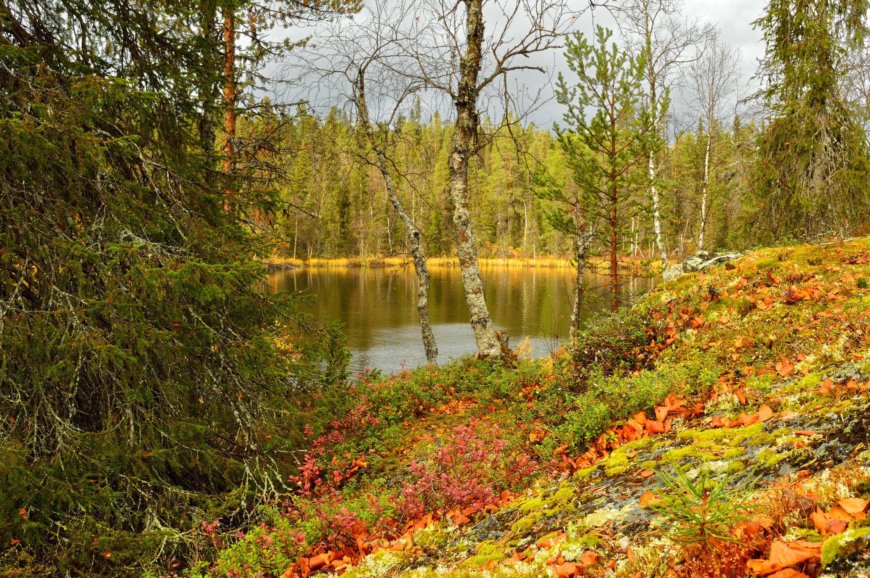 lapland finland, , , , , finland, lapland